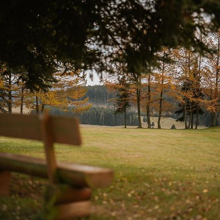 Waldhotel Kreuztanne Sayda Esterno foto