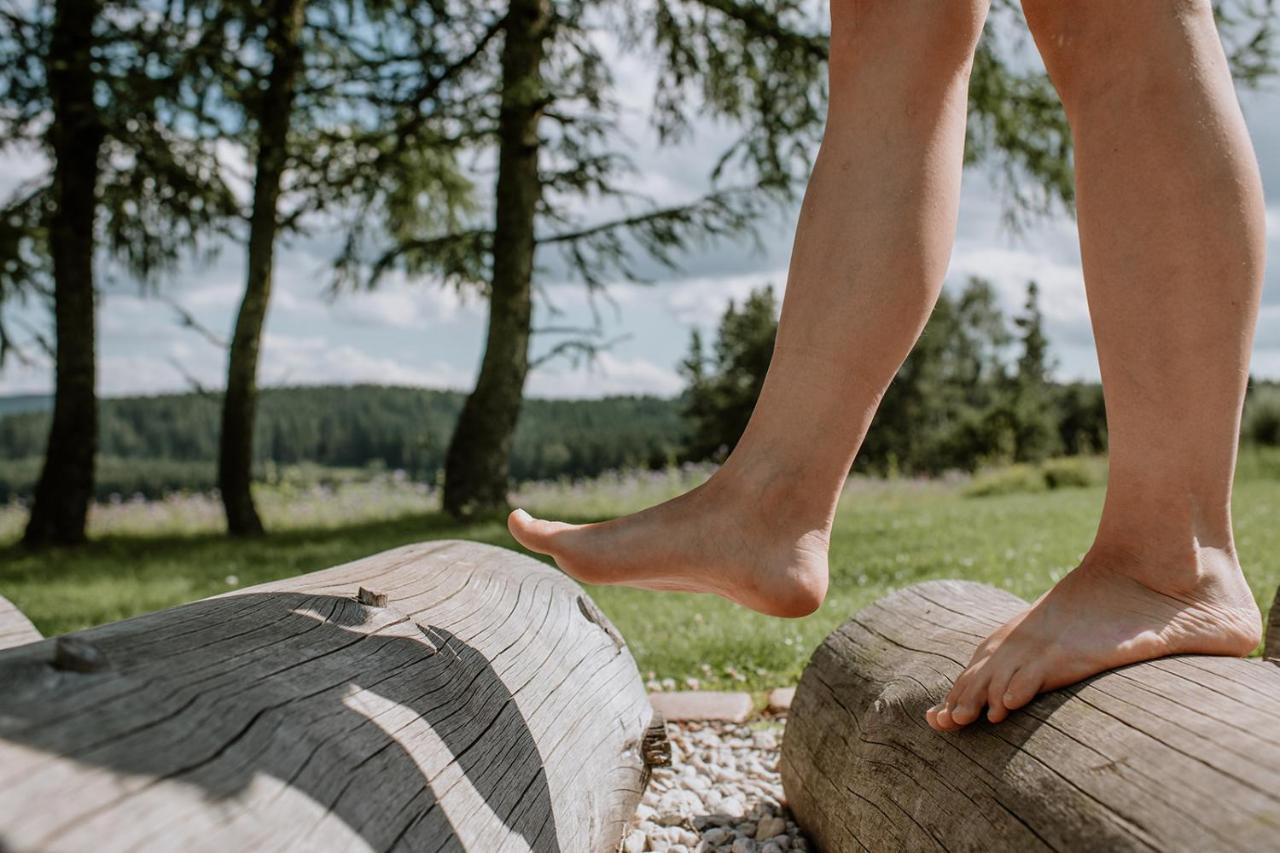 Waldhotel Kreuztanne Sayda Esterno foto