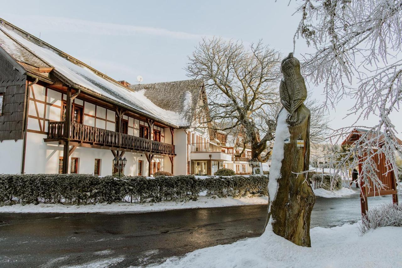 Waldhotel Kreuztanne Sayda Esterno foto