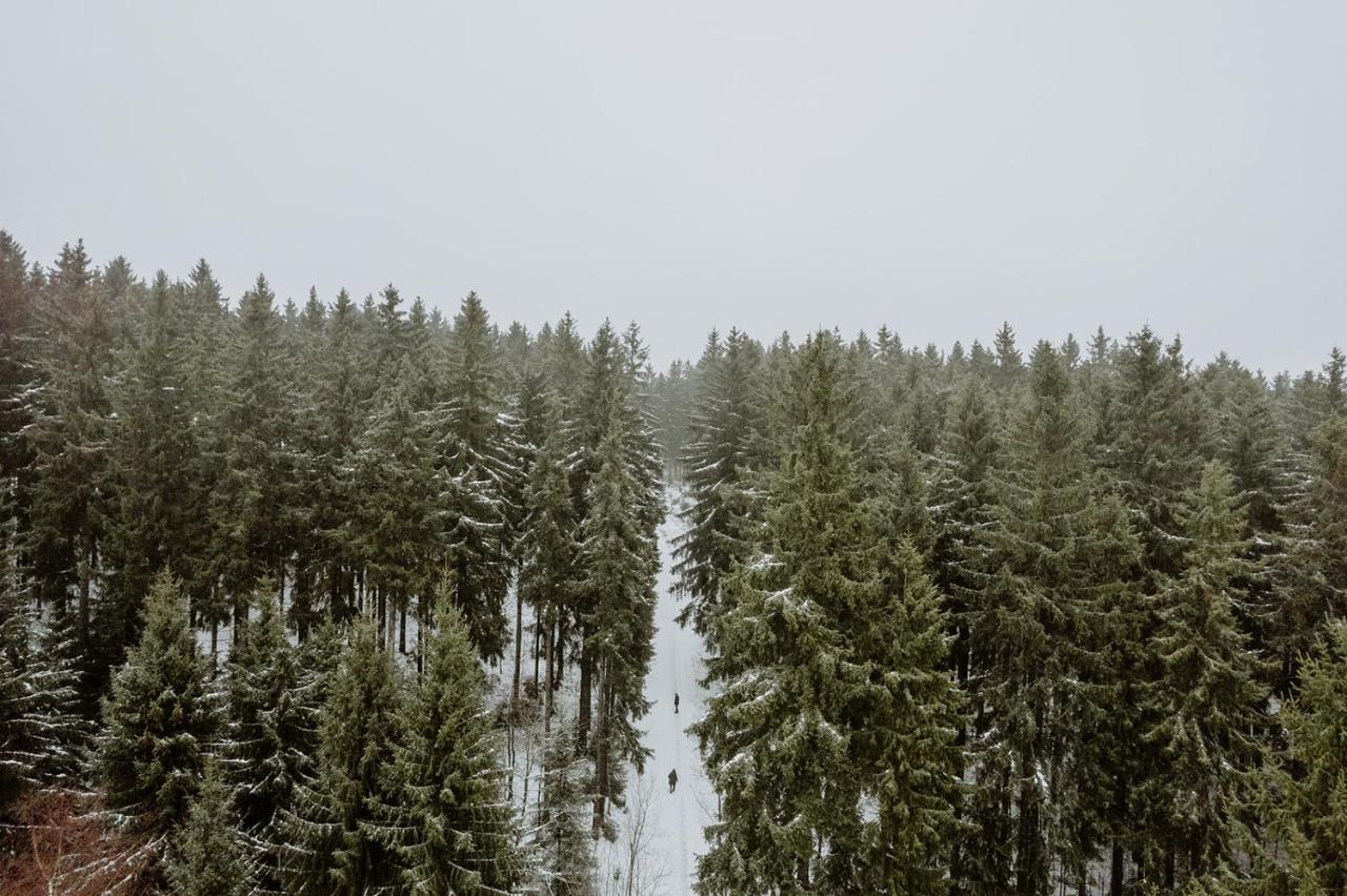 Waldhotel Kreuztanne Sayda Esterno foto