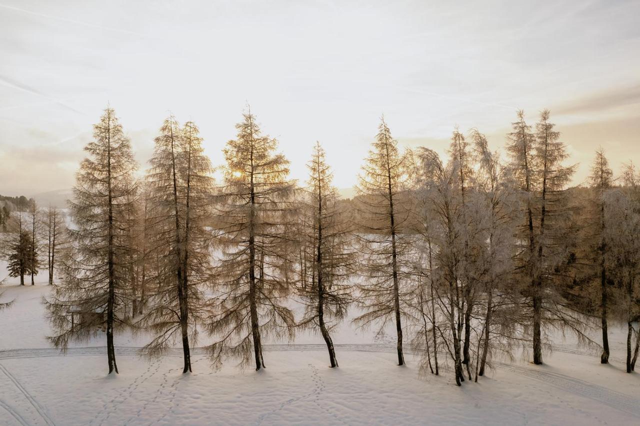 Waldhotel Kreuztanne Sayda Esterno foto