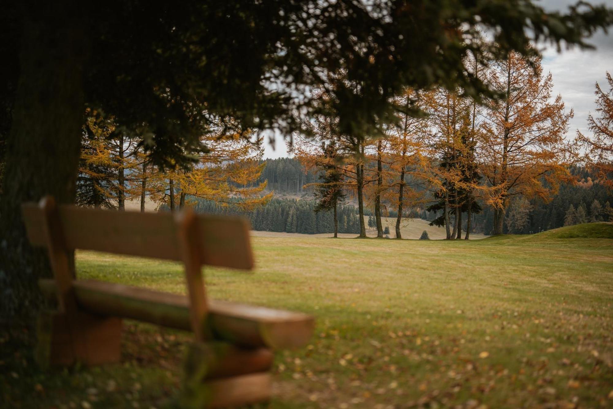 Waldhotel Kreuztanne Sayda Esterno foto